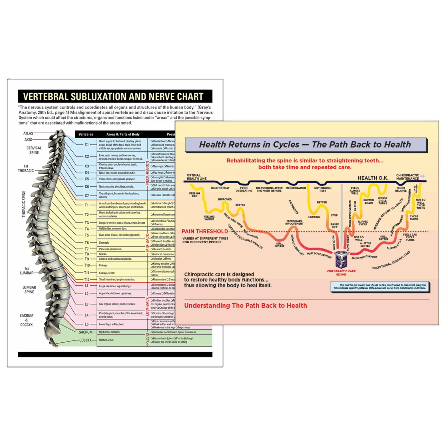 Spine Chart & Cycles Poster Set - Members WINNERSEDGE Consulting