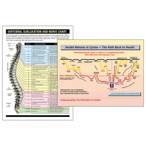 Spine Chart & Cycles Poster Set