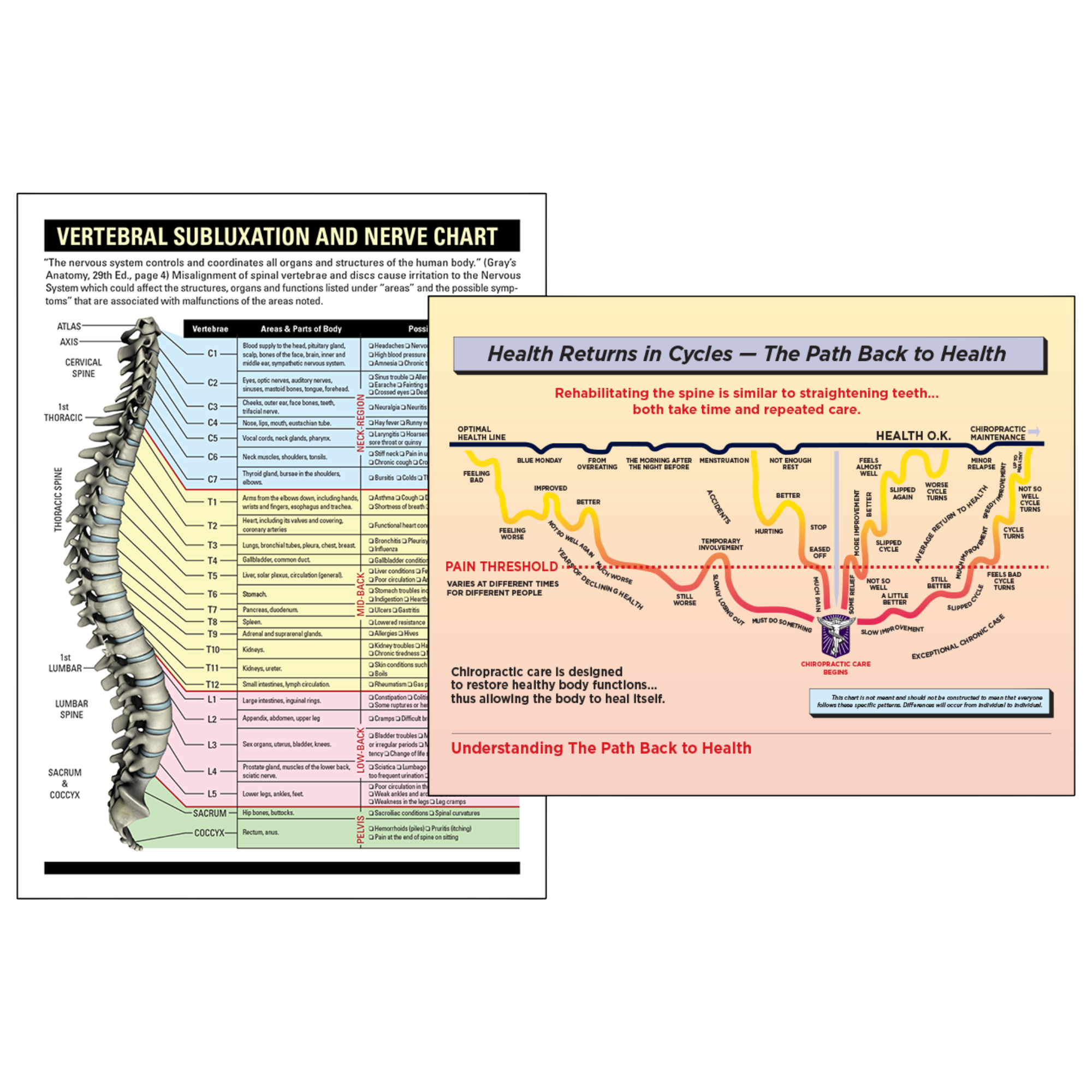 Spine Chart & Cycles Poster Set